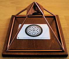 Lemuri&euml; activatie